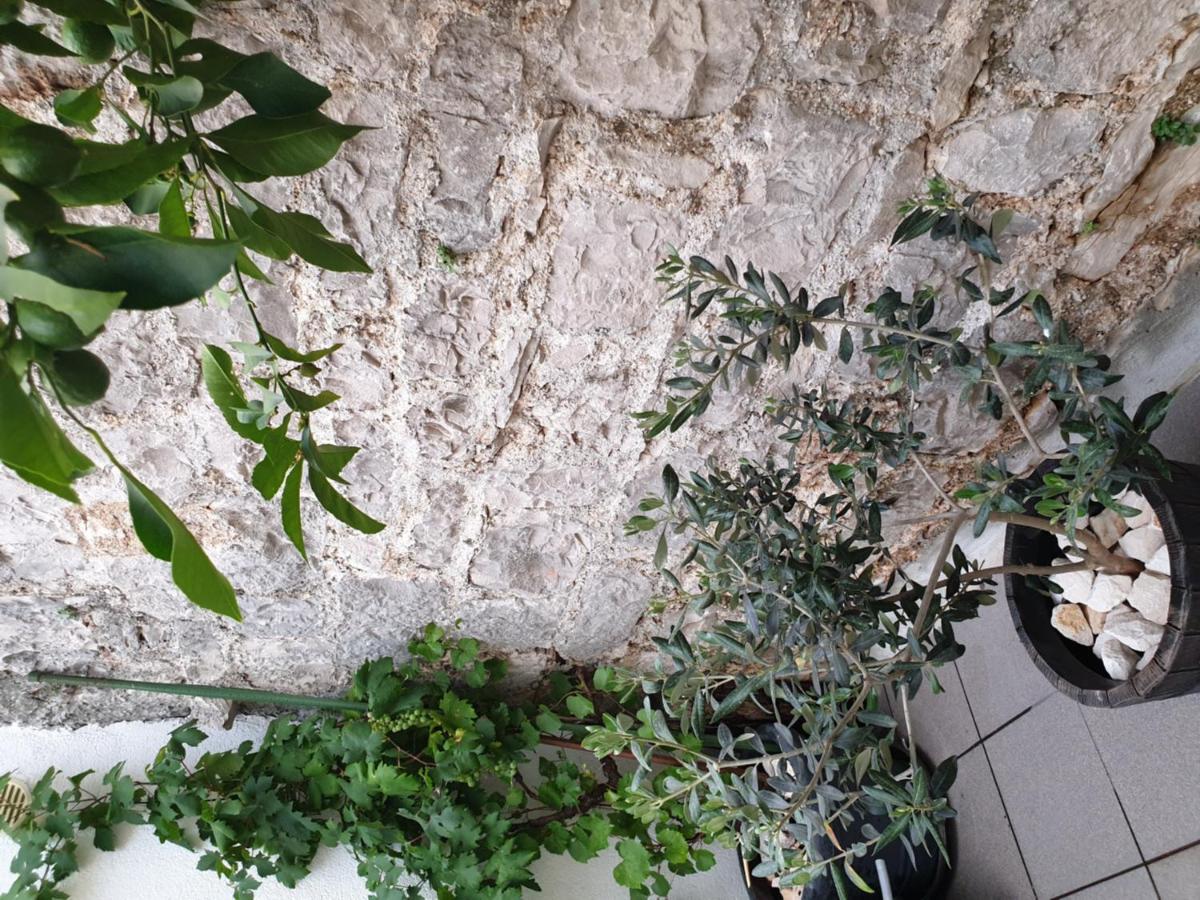 Lemon Tree Otel Donji Seget Dış mekan fotoğraf
