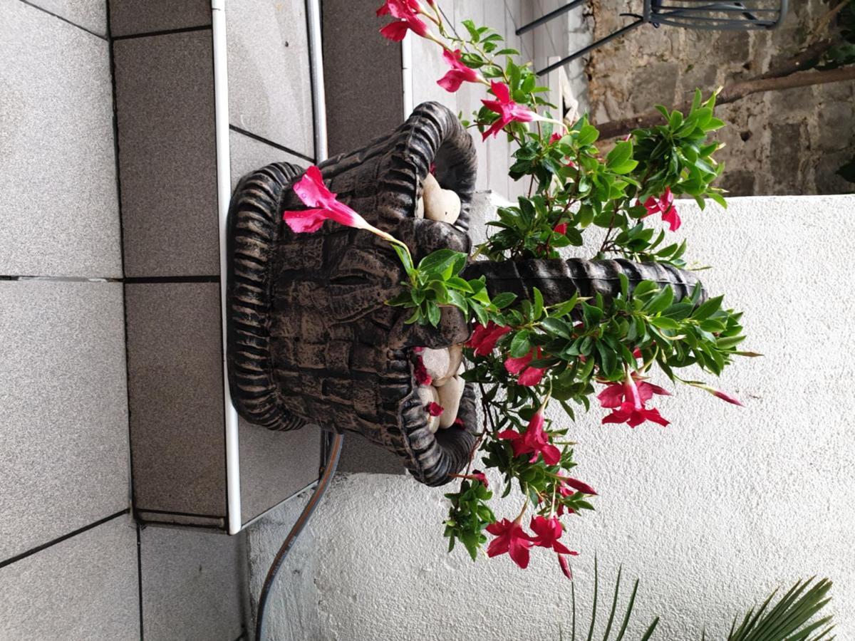 Lemon Tree Otel Donji Seget Dış mekan fotoğraf