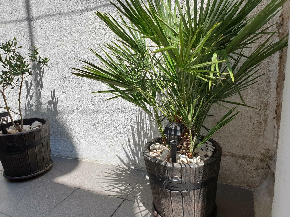 Lemon Tree Otel Donji Seget Dış mekan fotoğraf